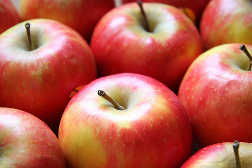 manzana elstar