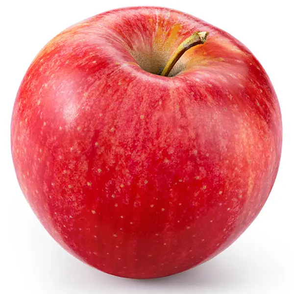 Manzana Gala