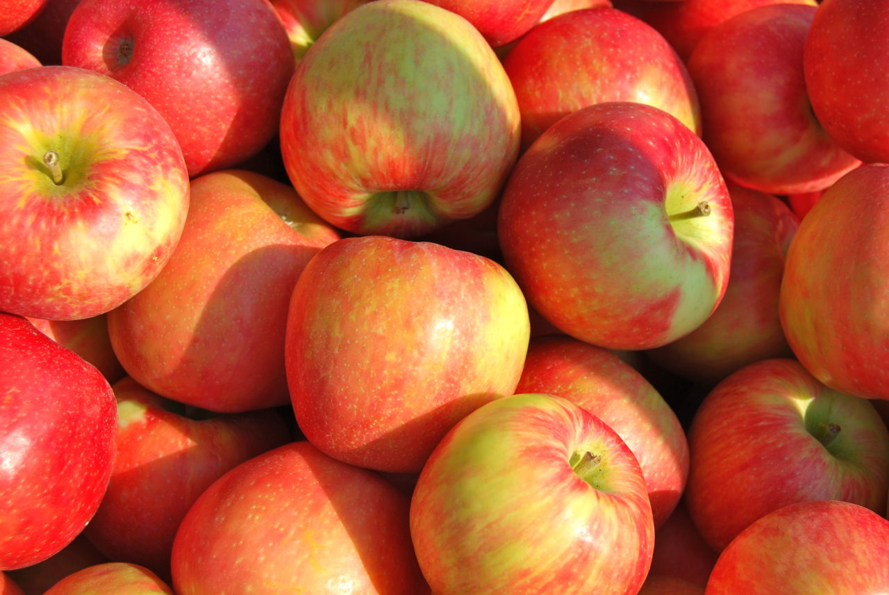Manzana Honeycrisp