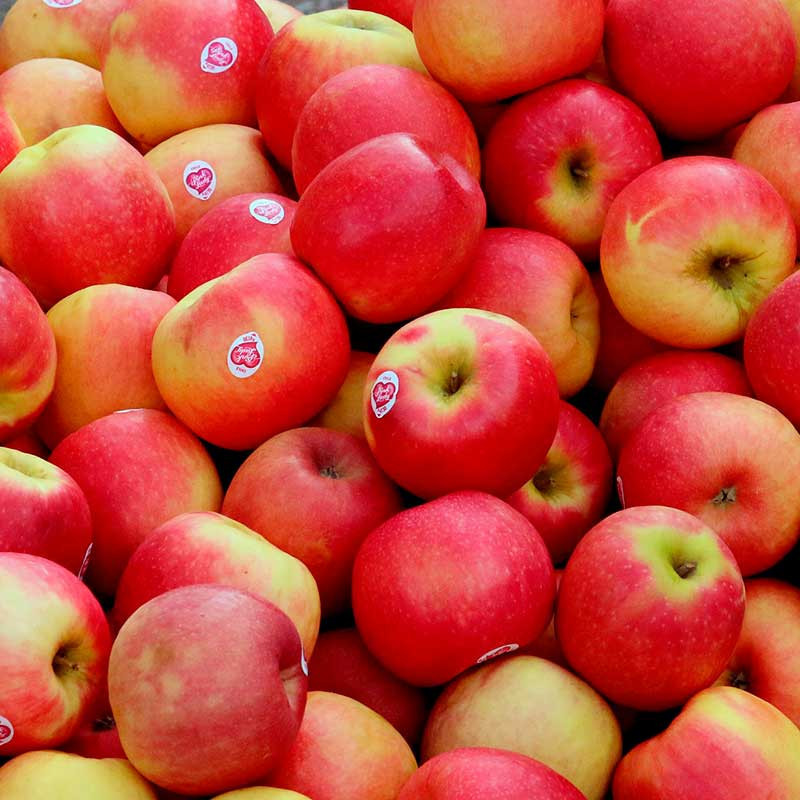 Manzana Pink Lady
