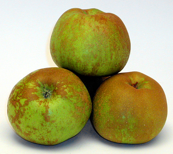 Manzana Reineta