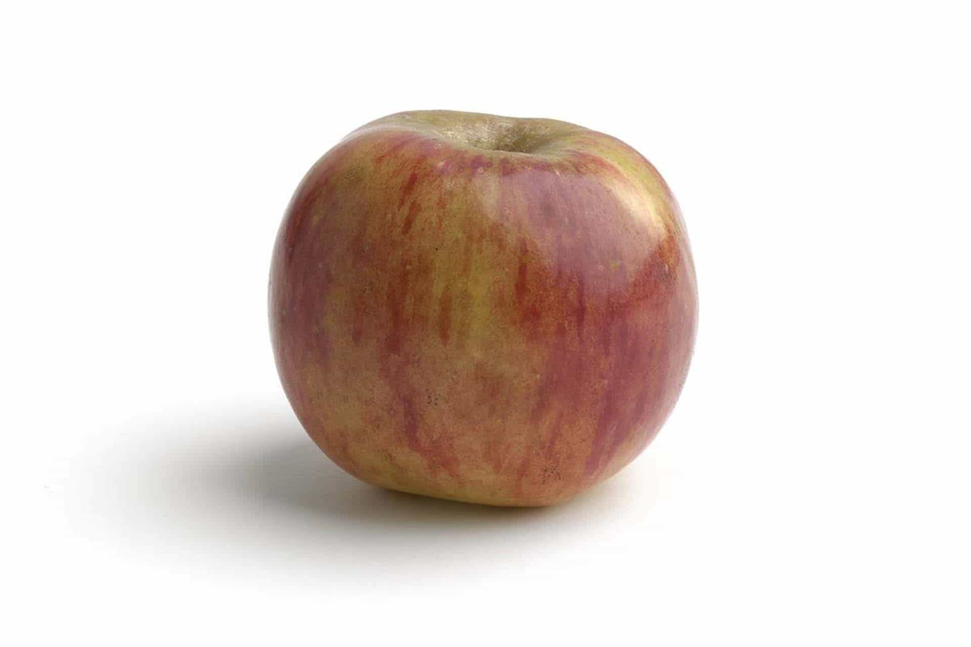 Manzana Repinaldo
